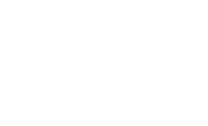 Daytona Lagoon Logo