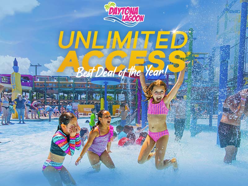 Unlimited Access - Best Deal of the Year!